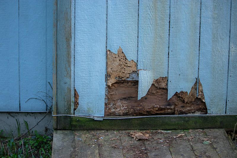 Damaged Wood Cladding